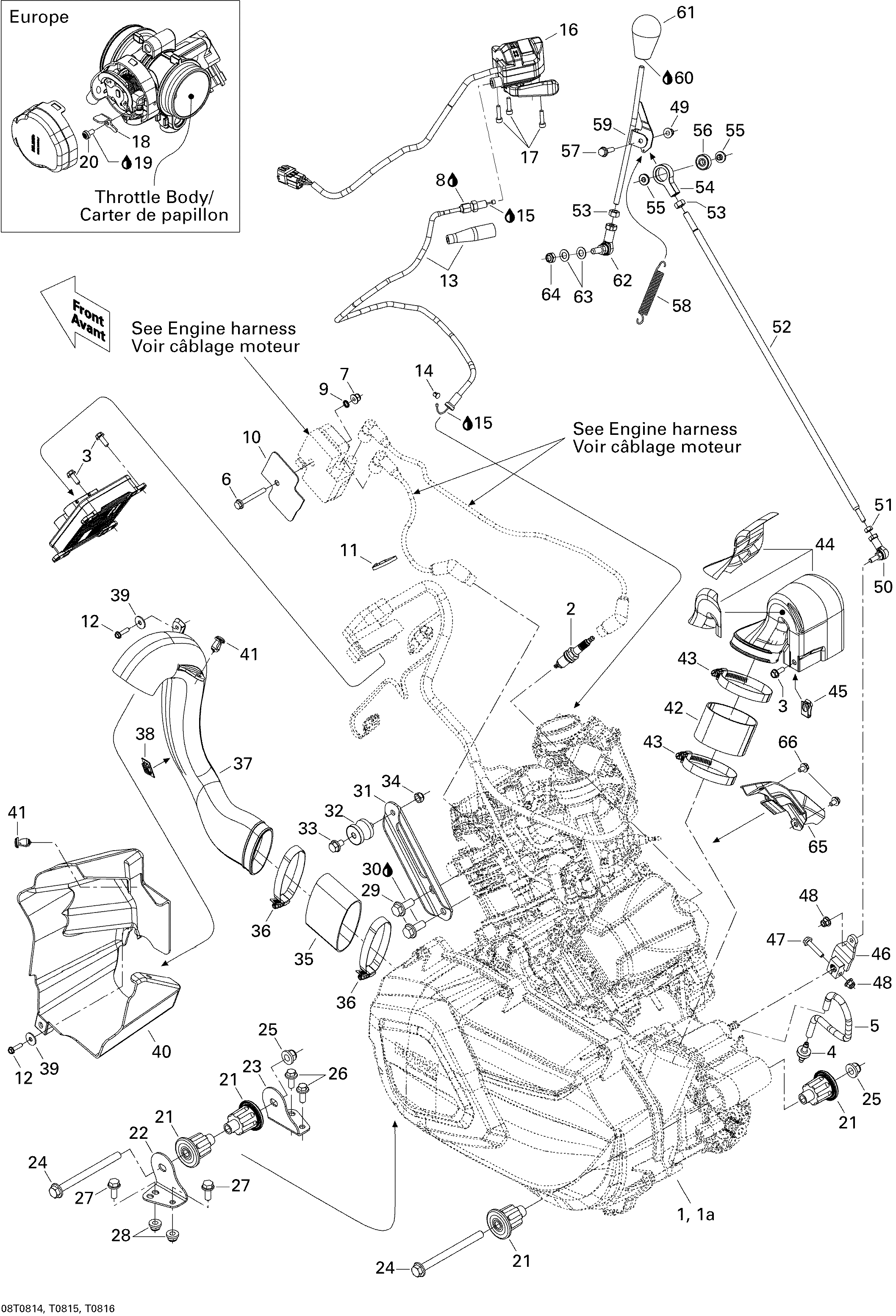 01 MOTEUR ET SUPPORT MOTEUR POUR RENEGADE STD 500 EFI JAUNE 2008