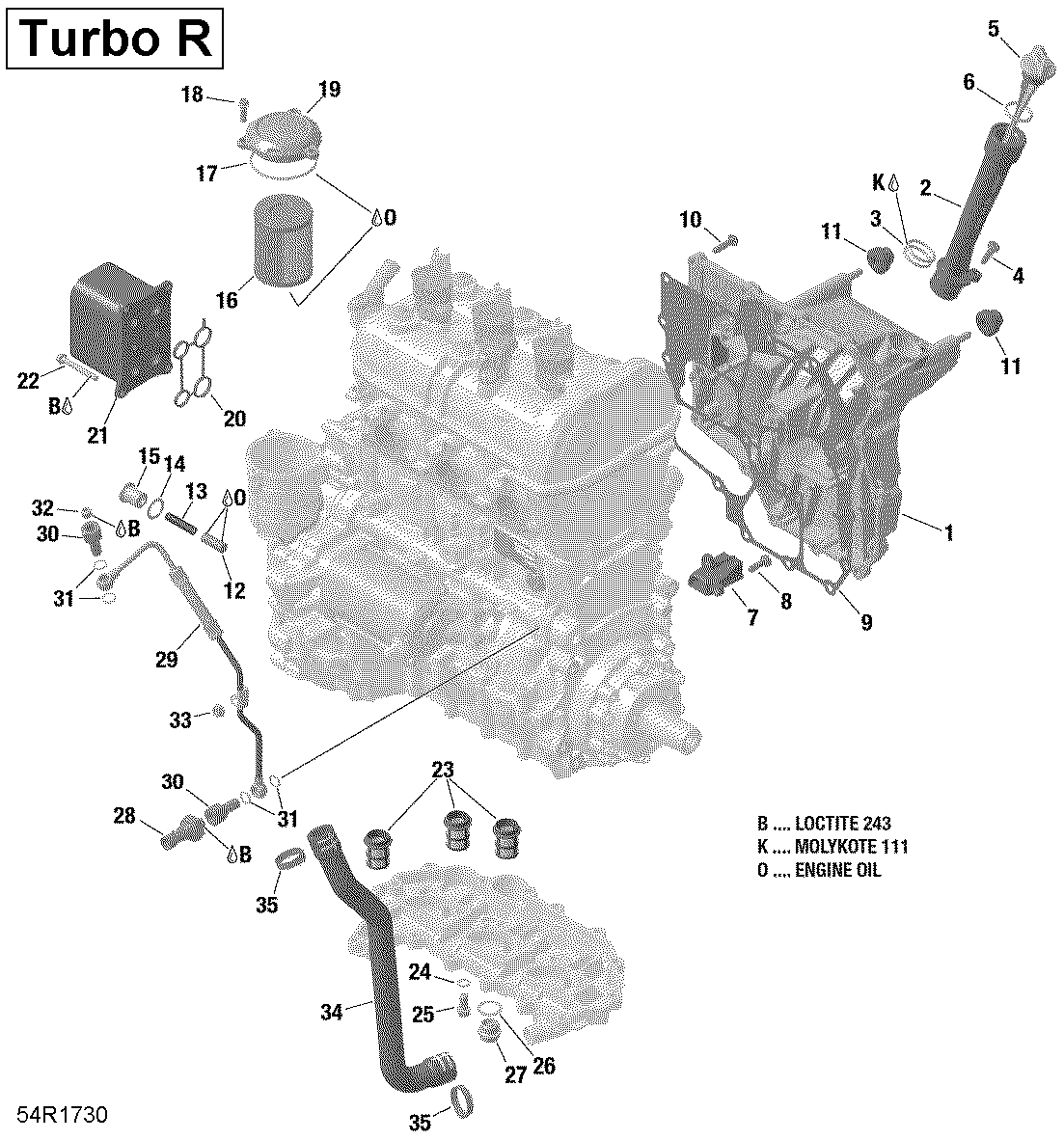 01 LUBRIFICATION DU MOTEUR POUR MAVERICK MAX TURBO R STD BLANC 2019