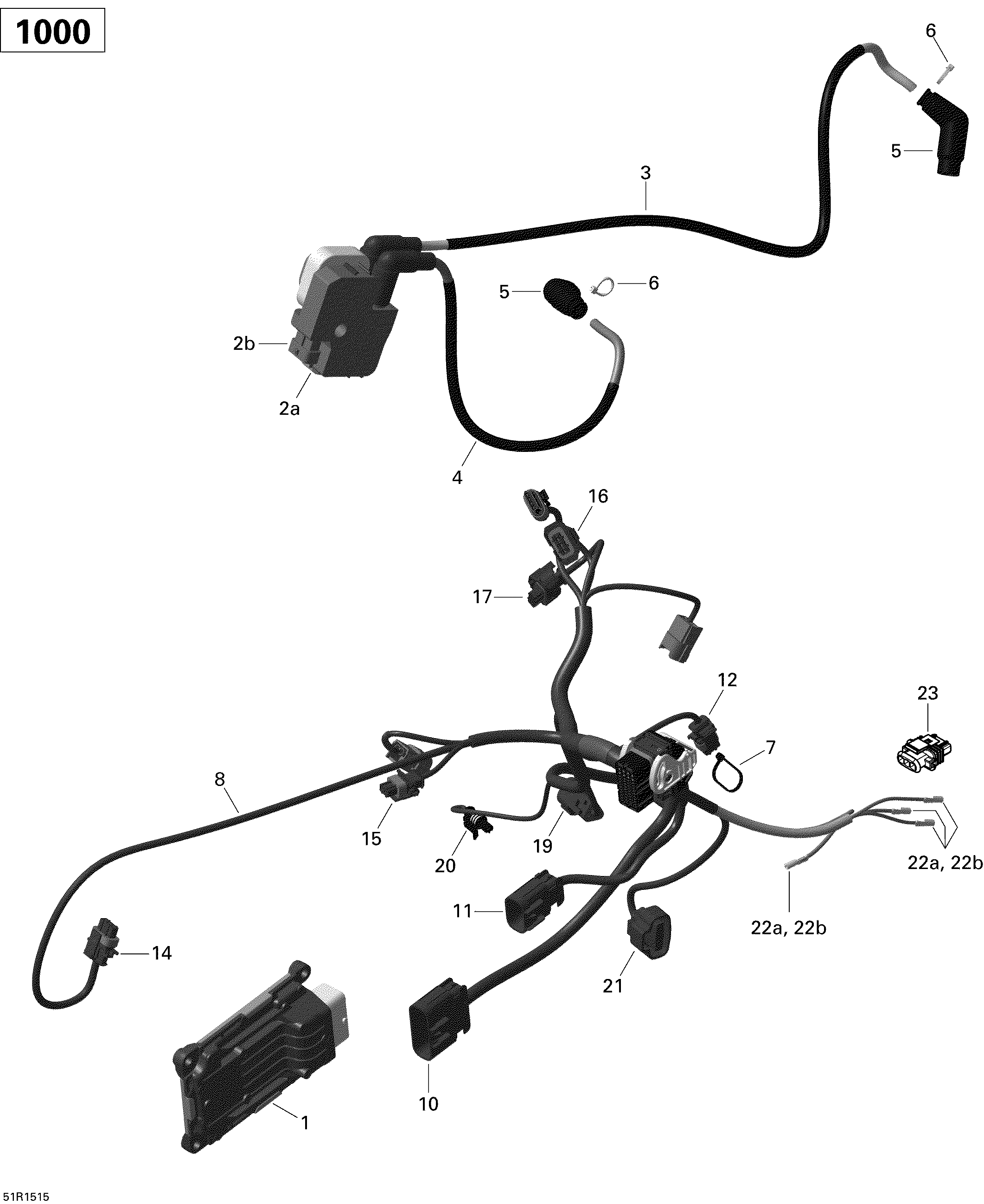 10 FAISCEAU MOTEUR ET MODULE ELECTRONIQUE OUTLANDER51R1515 POUR OUTLANDER MAX LTD ETAIN PROFOND 2015