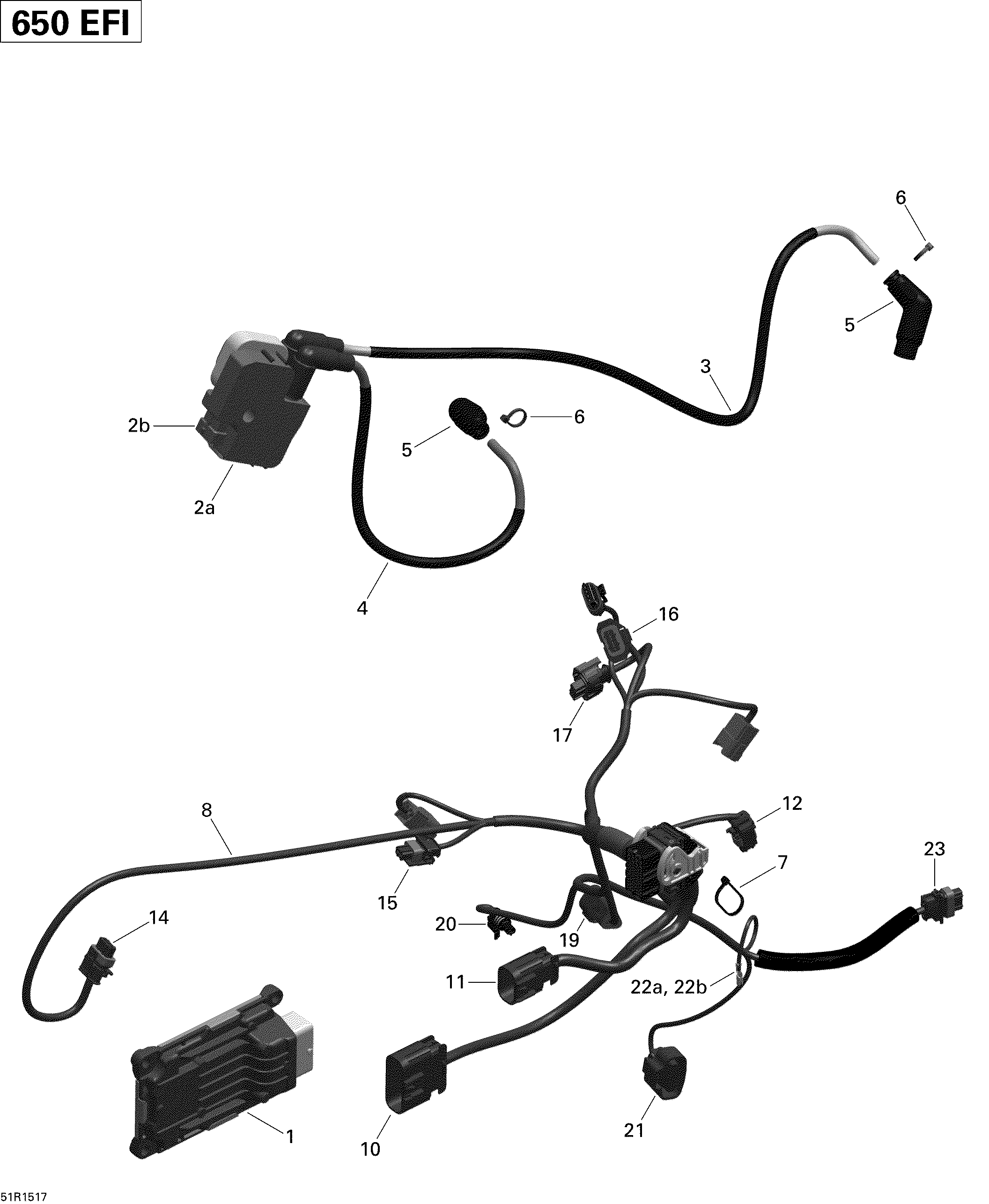 10 CABLAGE MOTEUR ET MODULE ELECTRONIQUE 51R1517 POUR OUTLANDER 6X6 DPS GRIS PLATEFORME 2015