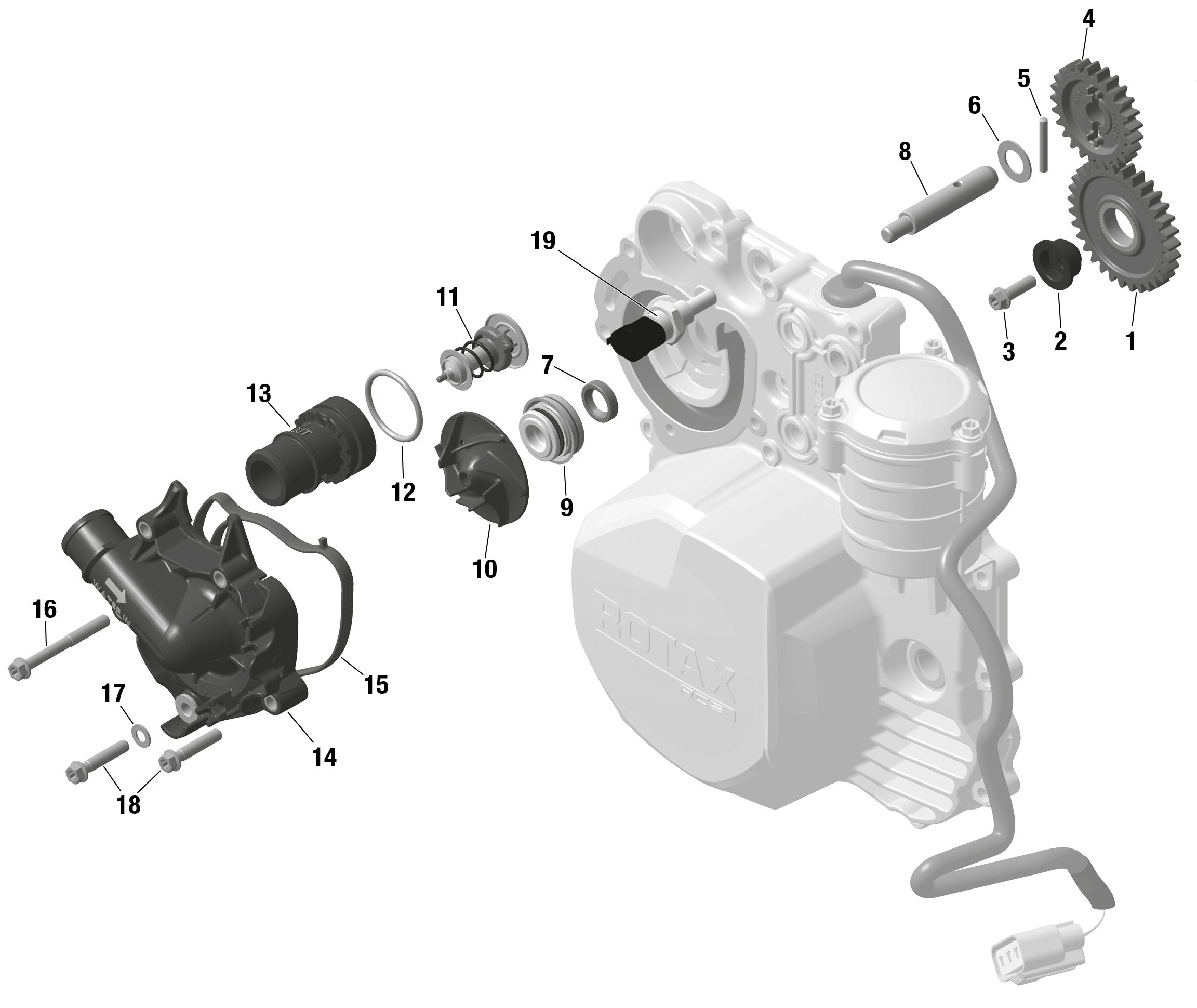 01 ROTAX REFROIDISSEMENT MOTEUR POUR RYKER 600 ACE CVT BLACK 2023